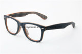 Acetate Optical Eyewear Frame (2140-C806)