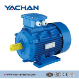 CE Approved Ms Series Electric Motor