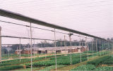 UV Protection Agriculture Net (AN060W)