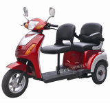 48V Motor Tricycle with 2 Deluxe Saddles for Disabled (TC-019B)
