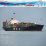 LCL Sea Shipping Agent to Ashdod Port (Freight forwarder)