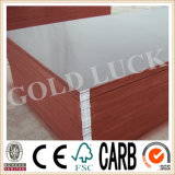 Construction Plywood with High Quality and Competitive Price