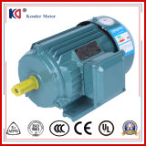 Phase AC Electric Induction Motor
