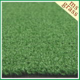 Waterproof Fake Grass for Landscaping (STW-C08B31PM)