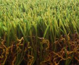 Artificial Grass-Landscaping Turf Garden Grass-Hvlv35