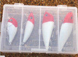 Sealed Transparen Fishig Bait Box