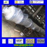China New Asme Approved Packed Tower