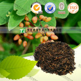 Anti Aging Herbal Extract Raw Material Acacia Catechu