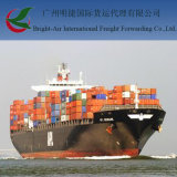 Cheap Sea Freight Shipping From China to Denmark