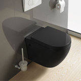 Sanitary Ware CE Colorfull Wall Hung Toilet Closet (YB3376-Black)