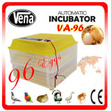 Full Automatic CE Approved Egg Incubator/ Poultry Hatchingincubator