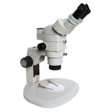 Stereo Microscope (MZ81) 