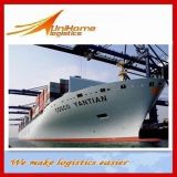 Sea Freight and Sea Shipping Service From China to Worldwide