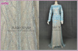 Elegant Evening Dress/Evening Gown/Long Sleeve Dress (AS4592)