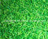 Goodproduct for Cricket Field with Artificial Grass (CPCS-T-10 (PA))