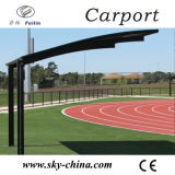 Durable Metal Polycarbonate Canopy Awnings for Car Port (B800)