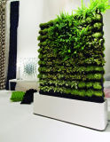 High Quality Artificial Plants and Flowers of Green Wall Gu-Wall22135251309
