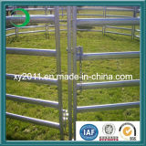 Firm Hot Dipped Galvanized Stalls for Cows