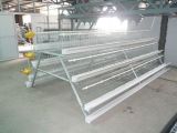 Automatic Chicken Battery Cage /Layer Egg Chicken Cage/Layer Chicken Cage