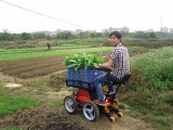 Agriculture 4*4 Electric Wheelchair
