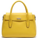 Classic Designer Lady Satchel Bag Fashion Lady Brand Handbags (S1065-A4088)