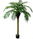 Artificial Tree-Robellini Palm Tree (XJ-SSZ5735FM)