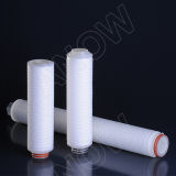 Pes Cartridge Filter with 0.22 Micron 30inch Length