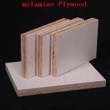 18mm One Sides White Melamine Faced Plywood Prices