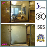 Switchable Privacy Glass