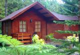 Holiday Log Cabin (xy-003)