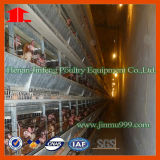Poultry Farm Equipment H Type Multi-Tier Layer Chicken Cage