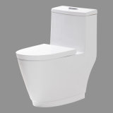 Toilet (P-2263)