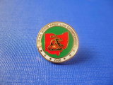 Coin Soft Enamel Badge, Organization Lapel Pin (GZHY-FFL-005)