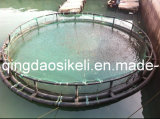 HDPE Floating Fishery Machinery