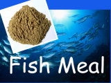 Fish Meal Protein for Feed 65% 72%