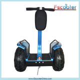 Used Cars in Europe Electric Scooter Zappy