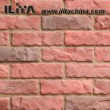 Culture Stone Decorative Wall Bricks, Building Stones Exterior (YLD-11019)