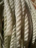 3/6/8/12/24 Strand Polyester Rope/Pet Fiber Rope/ Mooring Rope  (NG-042)