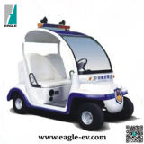 Electric Cruise Car, Electric Solar Vehicle, Eg6023p