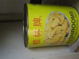 High Quality Food Canned Vegetable Canned Mushroom (7116)