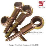 Stainless Steel Hydraulic Fitting Banjo Fitting
