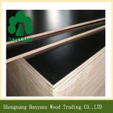 Black 18mm Film Faced Plywood/Shuttering Plywood for Construction