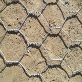 Good Quality Hexagonal Wire Mesh Fence/Netting (MY-20)