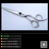 Professional Hairdressing Scissors (YD-60)