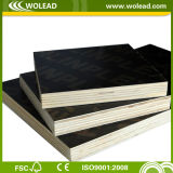 Packing Grade China Cheap Price Commercial Plywood (w15429)