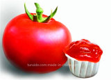 Cold Break 36-38% From China Tomato Paste