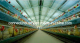 Poultry Water System