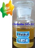 Herbicide 24% Ec Clethodim