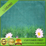 HDPE Olive Plastic Harvest Net