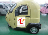Close Tyep Electric Tricycle Car with Passenger Seat